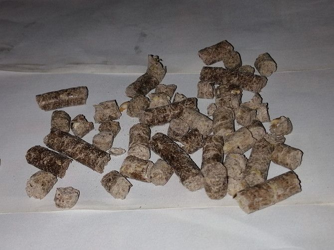 Продам сбалансированный комбикорм (для свиней). Київ - изображение 1