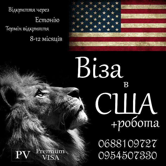 Віза в Америку Ивано-Франковск - изображение 1