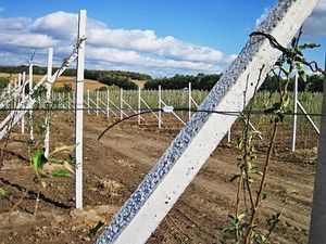 Продам бетонные столбики Винница - изображение 1