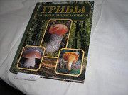 Продажа новой большой энциклопедии грибов, Кропивницкий Кировоград