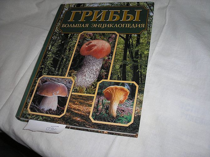 Продажа новой большой энциклопедии грибов, Кропивницкий Кировоград - изображение 1