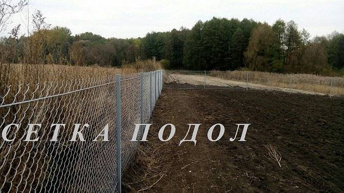 Забор сетка рабица "эконом" установка и изготовление Киев - изображение 1