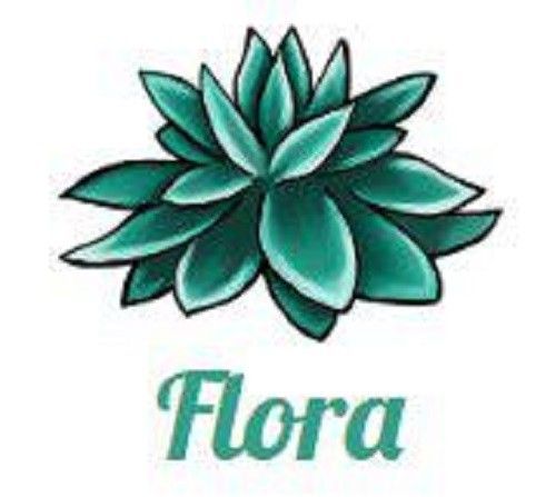 Студия массажа «Flora» Київ - изображение 1