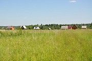 Земельный участок в селе Лебедин под застройку Киев