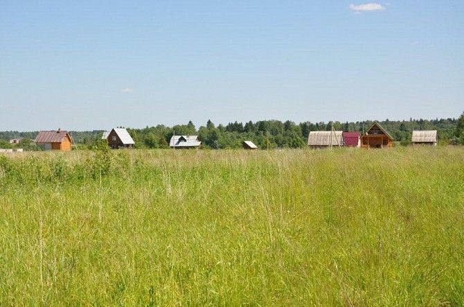 Земельный участок в селе Лебедин под застройку Киев - изображение 1