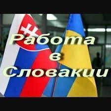 Різноробочий 4,7 євро в час Николаев - изображение 1