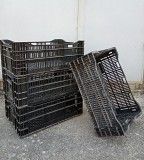 Пластмассовые ящики для выгонки луковичных растений Мелитополь