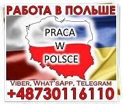 Для чоловіків і жінок, роботa нa виробництвaх Польщі. Офіційно. Луцк