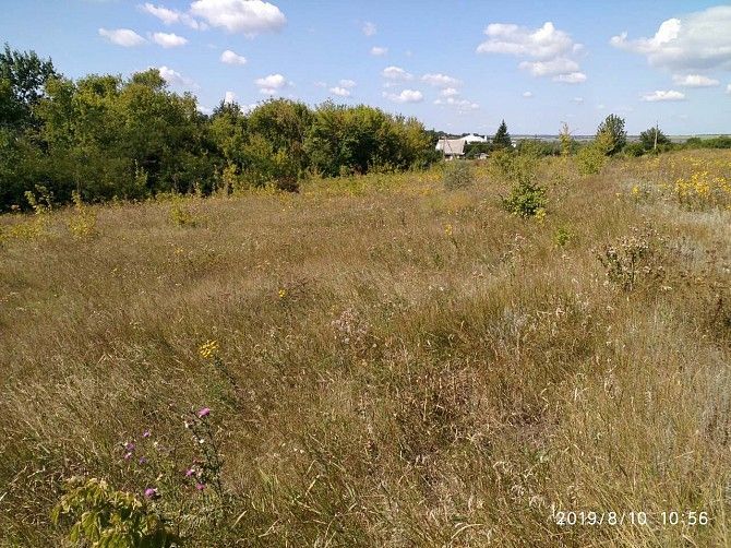 Продам 3 участка подряд по 15 соток (45 соток ) в Слатино Харьковской обл. Харьков - изображение 1