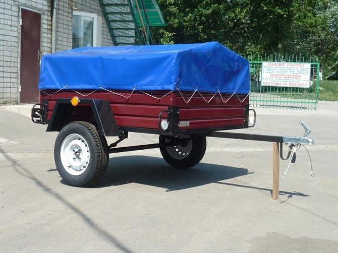 Лев 1.6м*1.3м Шостка - изображение 1