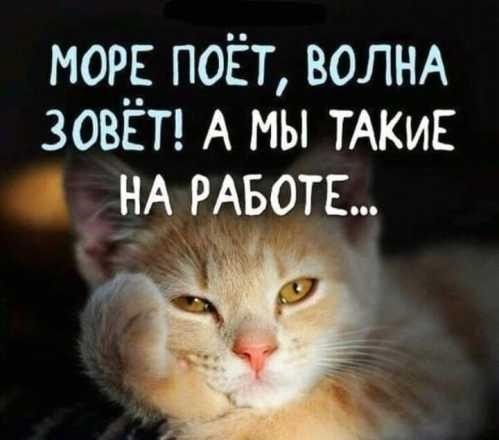 Требуется водитель на мерседес Одесса - изображение 1