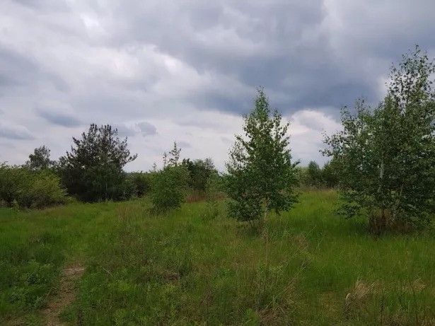 Участок в Лесниках 20 соток без комиссии (Стежки, ул. Кольцевая) Киев - изображение 1