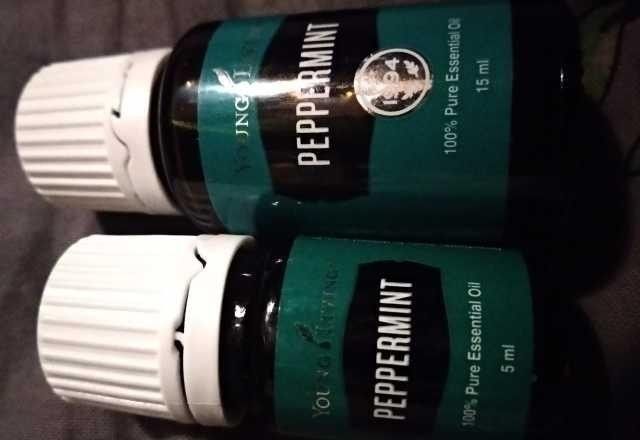 Эфирное масло Мята 5 мл Young Living 100%нат. Київ - изображение 1