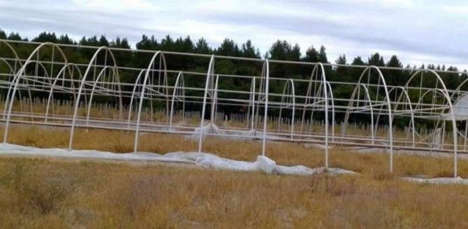 Каркасные металлические теплицы в Крынках Херсон - изображение 1