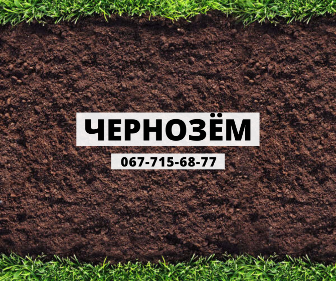 Продам чернозём Черкассы Черкассы - изображение 1