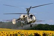 Авіахімобробка соняшнику вертольотами дельтопланами Винница