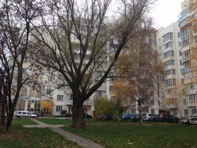 Срочно продам уютную квартиру с видом на взлетную полосу Борисполь - изображение 1