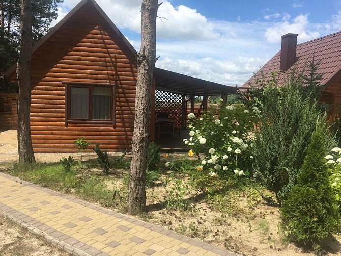 Відпочинок в Соловичах Луцк - изображение 1