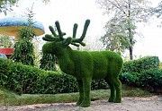 Изготовление и продажа скульптур топиарий по всей Украине. Киев