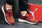 Кроссовки мужские бордовые с оранжевым IgEvoknit 5416 Мелитополь