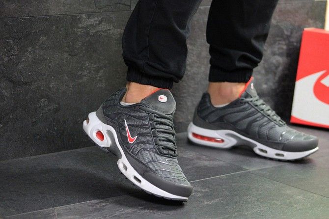 Мужские кроссовки серые Air Max TN 7278 Мелитополь - изображение 1