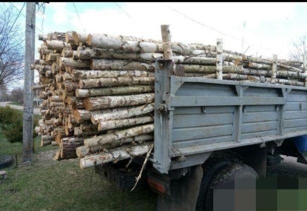 Продам дрова рубаные, кругляк, обрезки разных пород Городня - изображение 1