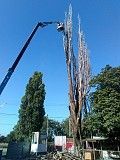 Спилим дерево любой сложности в Одессе. На 100% аккуратно Одесса