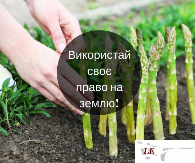 Виготовлення документів на землю/пай Київ - изображение 1