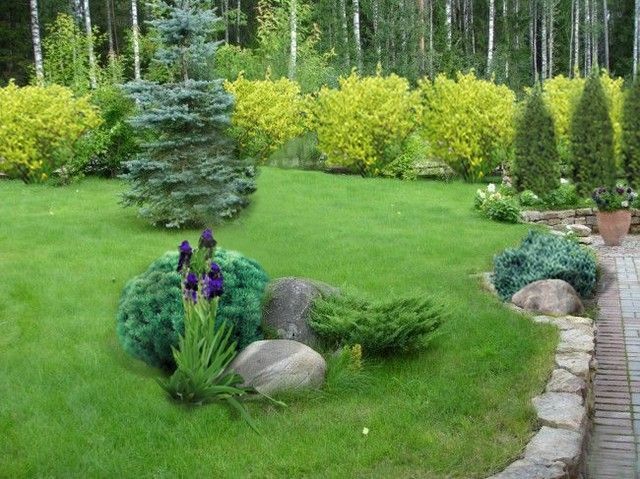 Услуги озеленения/Ландшафтный дизайн/Проектирование Харьков - изображение 1