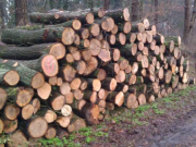 Продаю дрова метрівки щільно складені на машині Луцьк Луцк