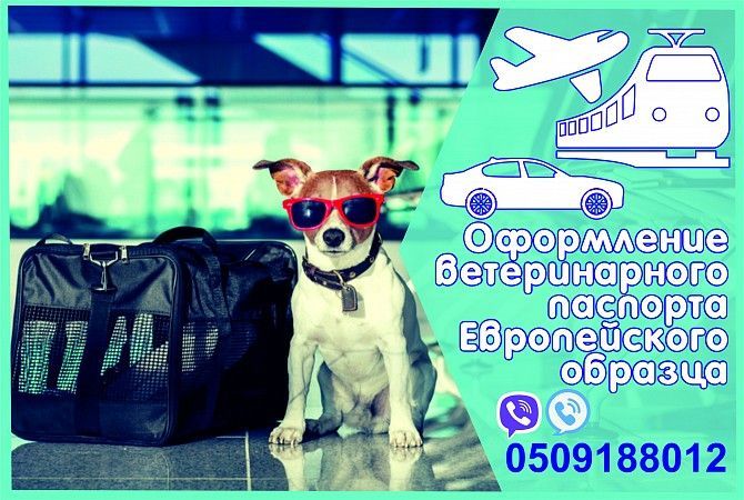 Довідка на титри, ветеринарний паспорт Харьков - изображение 1