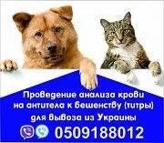 Аналіз на сказ Євродовідка для собак титри на антитіла Офіційно Одесса