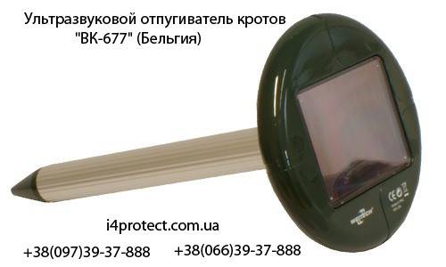 Від кротів прилад, як вигнати крота з ділянки Винница - изображение 1