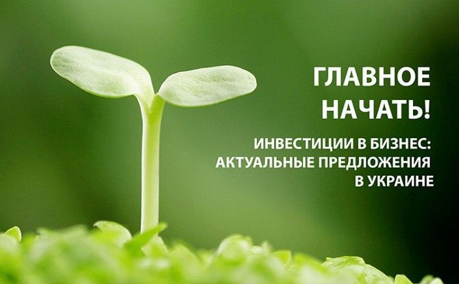 Инвестиции в проект. Кривой Рог - изображение 1