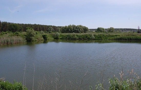 НЕДОРОГО. Аренда- продажа участков. Под любой вид деятельности. Есть озеро под разведение промыслово Київ - изображение 1