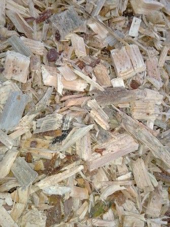 продаємо щепу Черкассы - изображение 1