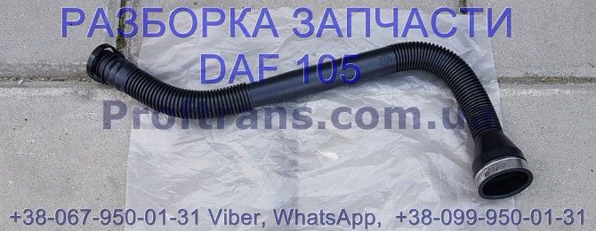 1638930 Патрубок маслозаливной горловины Daf XF 105 Даф ХФ 105 Киев - изображение 1