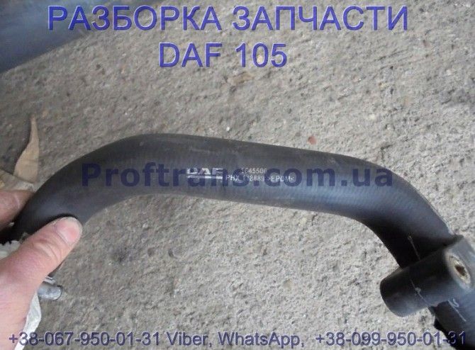 1645506, 2124564 Патрубок охлаждения Daf XF 105 Даф ХФ 105 Киев - изображение 1