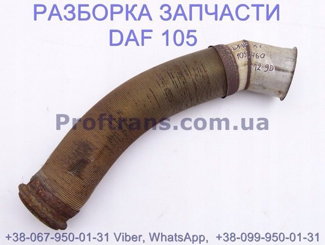 1743073 Гофра глушителя Daf XF 105 Даф ХФ 105 Київ - изображение 1