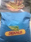 Семена кукурузы Monsanto ДКС 2960 ФАО 250 Киев