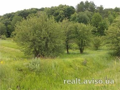 продам свой участок Подгорцы село Киев - изображение 1