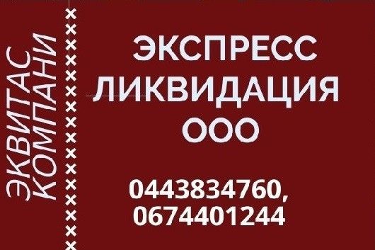 Ліквідація фірми під ключ Київ. Повна ліквідація ТОВ за 1 день. Київ - изображение 1