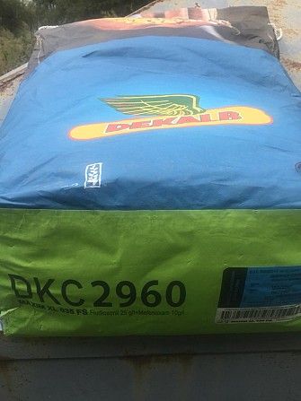 Насіння кукурудзи Monsanto ДКС 2960 ФАО 250 Киев - изображение 1