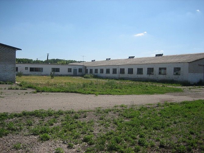 Продам ферму Волноваха - изображение 1