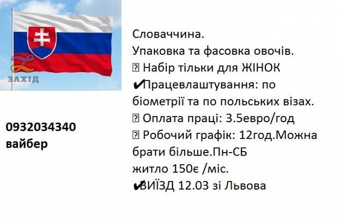 робота в Словаччині для жінок Борислав - изображение 1