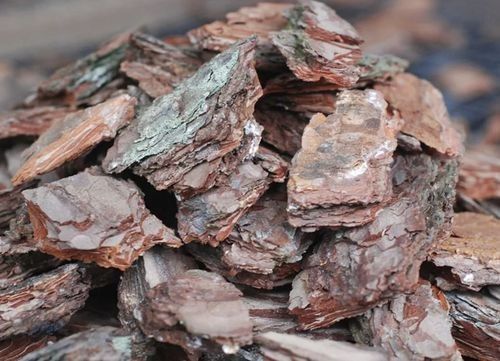 Кора сосновая крупной фракции Кременчуг - изображение 1