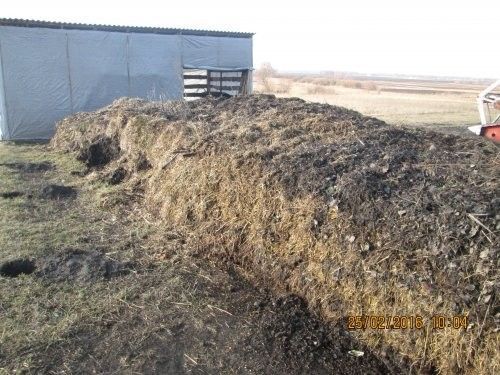 Продам перегній у мішкахв Киев - изображение 1