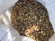 грецкий орех,семена тыквы Полтава