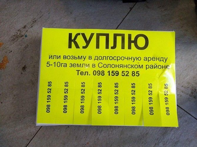 Печать объявлений, плакатов, визиток и фотографий. Днепр - изображение 1