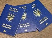 Паспорт Украины, загранпаспорт. Срочно. Купить Киев